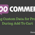 Adding Custom Data for Products During Add To Cart