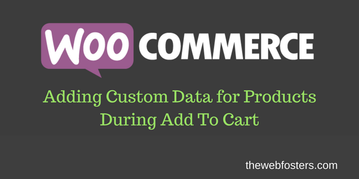 Adding Custom Data for Products During Add To Cart